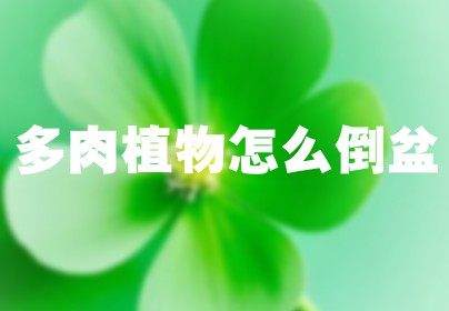 多肉植物怎么倒盆
