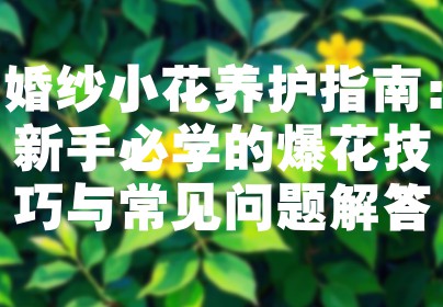 婚纱小花养护指南：新手必学的爆花技巧与常见问题解答