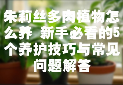 朱莉丝多肉植物怎么养 新手必看的5个养护技巧与常见问题解答