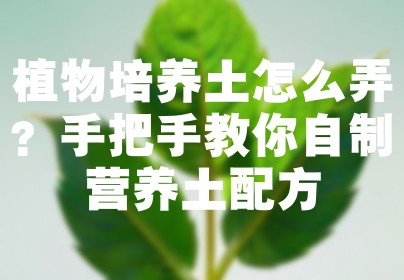 植物培养土怎么弄？手把手教你自制营养土配方