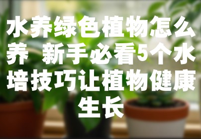 水养绿色植物怎么养 新手必看5个水培技巧让植物健康生长